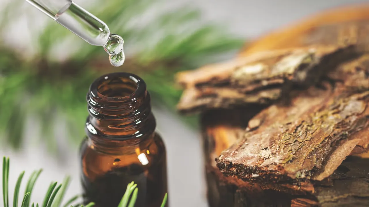 Dofter som läker och lugnar själen